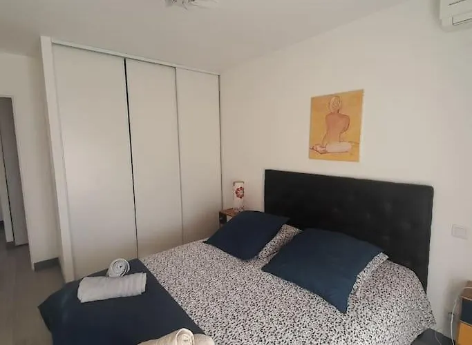 Petit Paradis Hyper Centre 3 Parking Clims Wifi Terrasse Apartment